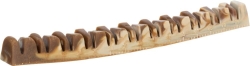 Veggie Jaw Bone - Čelist pro vegany cca 22cm