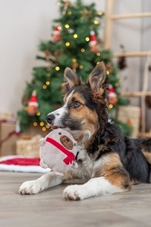 Xmas Dog - Pejsek, hračka pro psy se zvukem 16cm