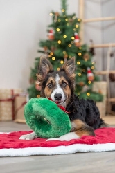 Xmas Wreath - Vánoční věnec, plyšová hračka pro psy 22cm