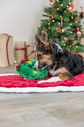 Xmas Wreath - Vánoční věnec, plyšová hračka pro psy 22cm