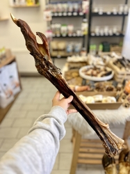 Pštrosí pařát natural 70cm
