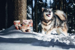 Carnilove Dog Crunchy Snack Wild Boar with Rosehips 200g