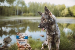 Carnilove Jerky Lamb with Salmon Fillet 100g