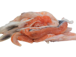 Losos ořez 1kg 