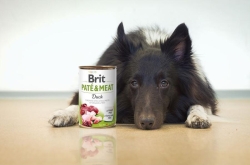 Brit Paté & Meat - Duck 400g
