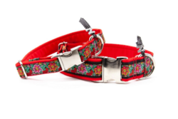 Obojek pro psa "Flower" 2,5cm - M (33cm - 49cm)