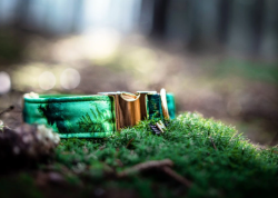 Obojek pro psa 4cm "Wild nature" L (40cm - 58cm)