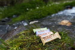 NAP - Psí proteinová tyčinka - Rybí 50g