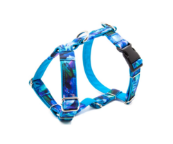 Postroj pro psa "Blue harmony" M+ 