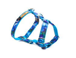 Postroj pro psa "Blue harmony" M+ 