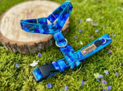 Postroj pro psa "Blue harmony" M+ 