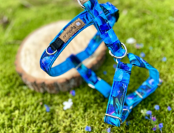Postroj pro psa "Blue harmony" M+ 
