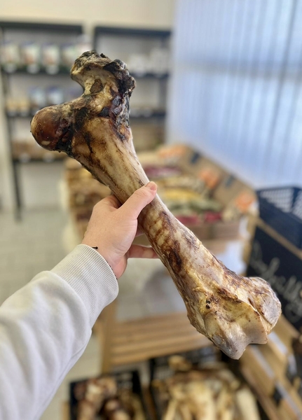 Sušená hovězí kost - L cca 60cm